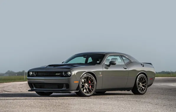 Picture Dodge Challenger, Muscle car, Hellcat, SRT, Vehicle