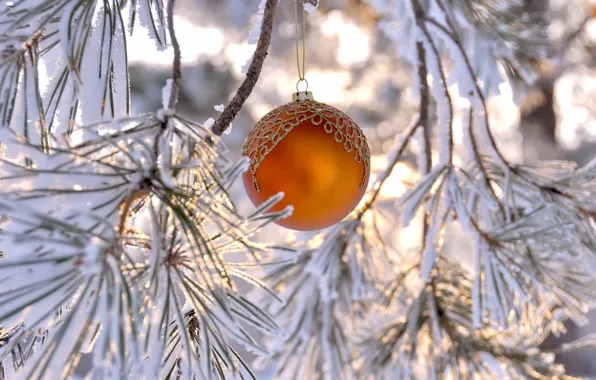 Picture background, holiday, toy