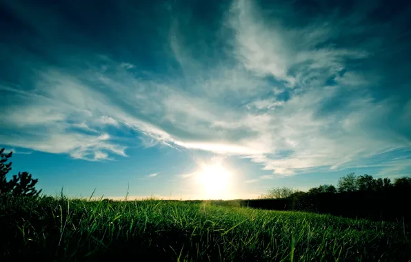 Picture the sky, grass, clouds, sunset, blue, green