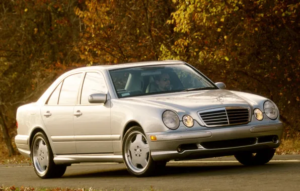 Picture Mercedes-Benz, Mercedes, E-class, AMG, E-Class, 1999, E-class, W210, Executivklasse, Lupato, Eyed