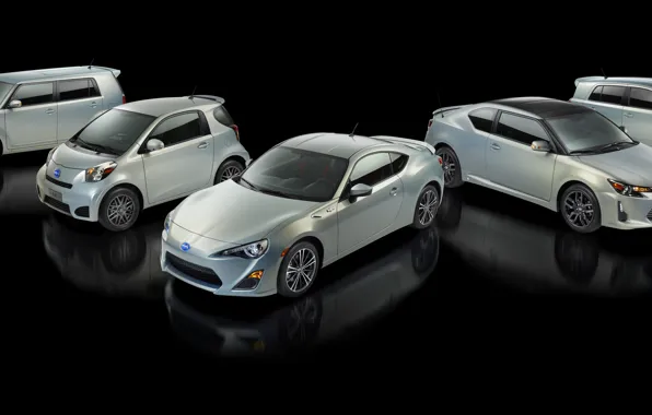 Picture Series, Family, Scion