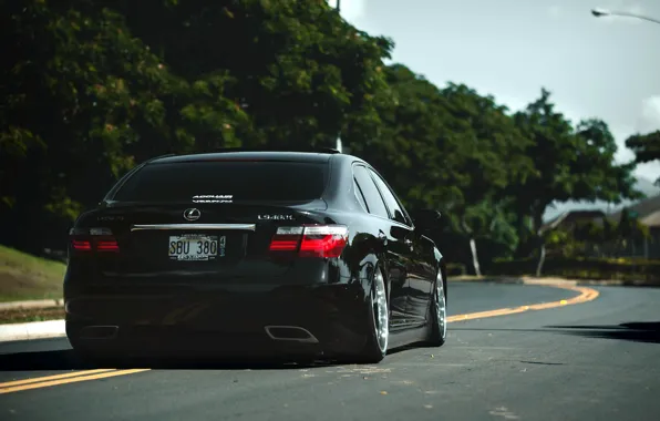 Picture Lexus, black, LS460, rear, VIP