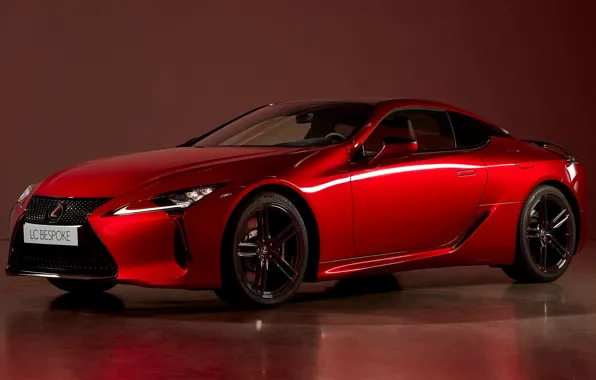 Picture Lexus, 2022, Bespoke Carbon