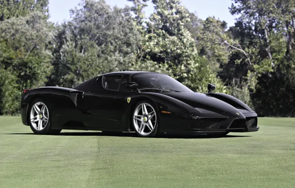 Picture trees, lawn, black, ferrari, Ferrari, black, enzo, Enzo