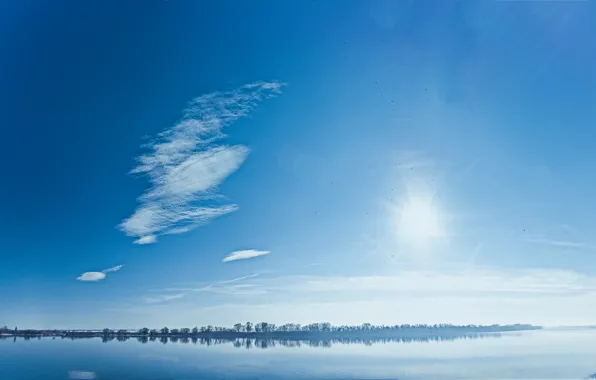 Picture trees, blue, nature, river, shore, crows, The Danube, Romania, Ishmael, panorama .