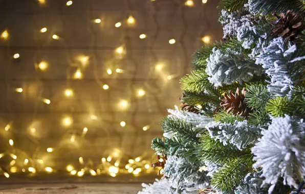 Picture frost, snow, branches, background, wall, lights, Christmas, New year