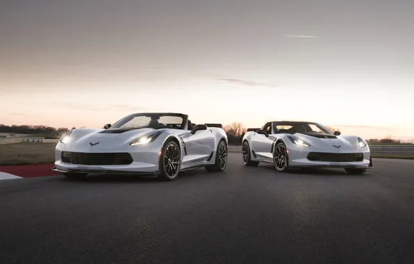 Picture car, Corvette, Chevrolet, logo, Chevrolet Corvette, asphalt, Chevrolet Corvette Carbon 65 Edition Model, Chevrolet Corvette …