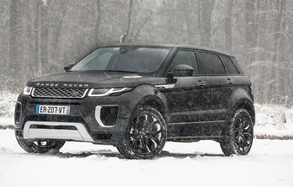 Picture winter, snow, Range Rover, Evoque, Autobiography, Si4