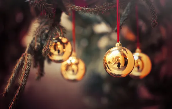 Picture branches, balls, tree, New Year, decoration