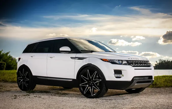 Picture wheels, Land Rover, Evoque, Luxury, lowered