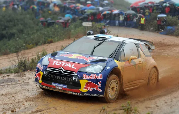Picture Auto, Sport, Machine, People, Rain, Race, Citroen, The hood, Dirt, Citroen, Red Bull, DS3, WRC, …