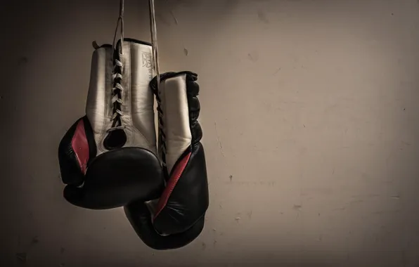 Picture background, sport, gloves