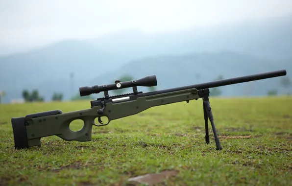 Picture grass, weapons, earth, optics, rifle, sniper, awp, bipod
