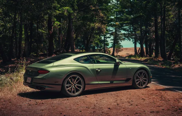 Picture continental, bentley