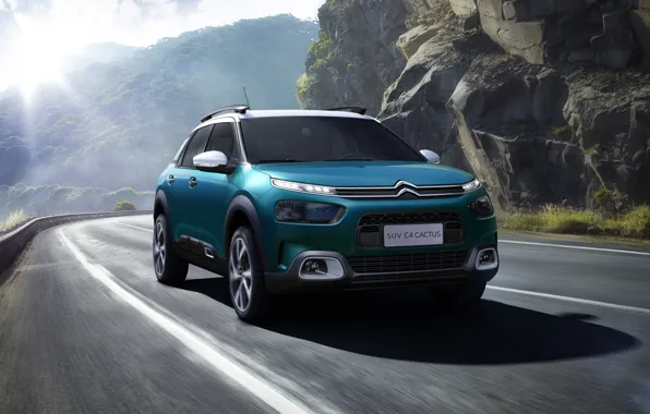 Picture 2018, crossover, Cactus, Citroen C4