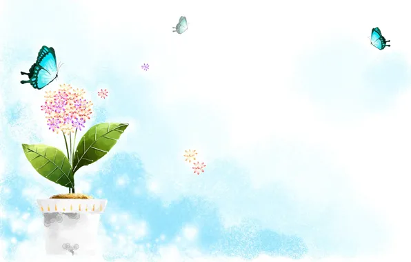 Picture butterfly, background, pot