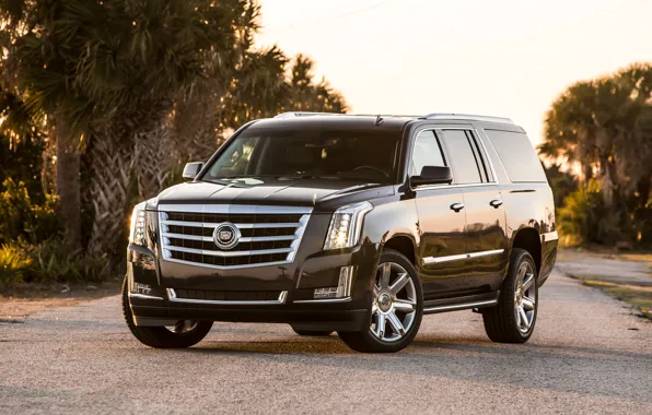Picture Cadillac, Escalade, 2015