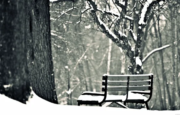 Picture winter, snow, trees, bench, background, widescreen, Wallpaper, mood, shop, shop, wallpaper, bench, widescreen, winter, background, …