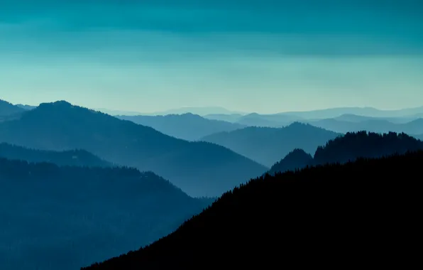 Picture USA, Washington, Pierce County
