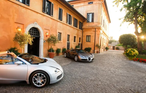 Picture house, veyron, bugatti