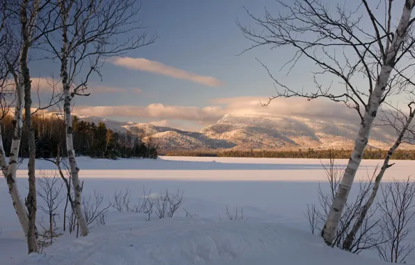 Picture winter, forest, the sky, clouds, snow, trees, sunset, mountains, birch