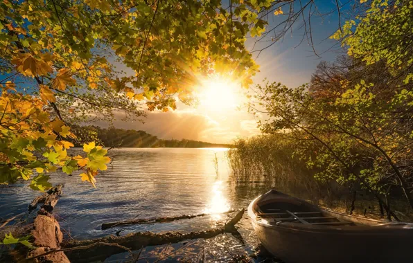 Picture autumn, light, lake, boat, morning