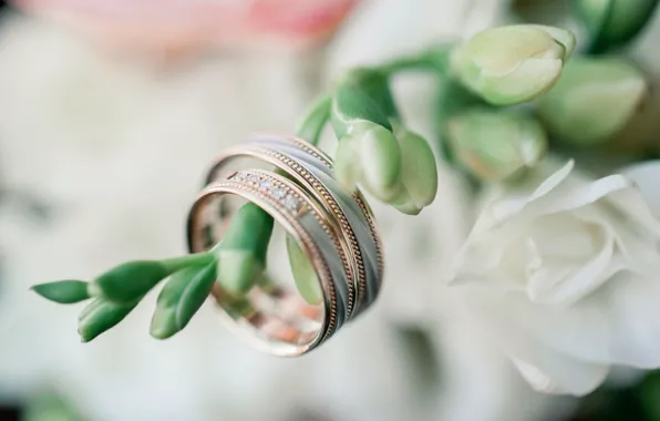 Picture flowers, holiday, ring, wedding