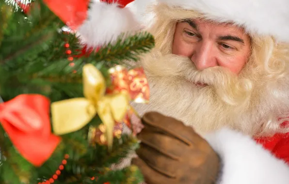 Picture look, branches, portrait, hands, Christmas, New year, tree, bows