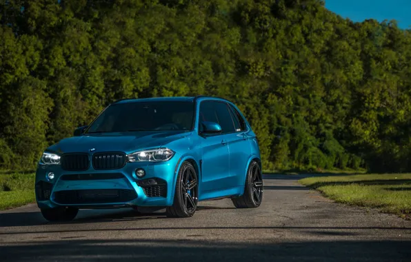 Picture BMW, Light, Blue, Green, X5M, Sight, LED, F85