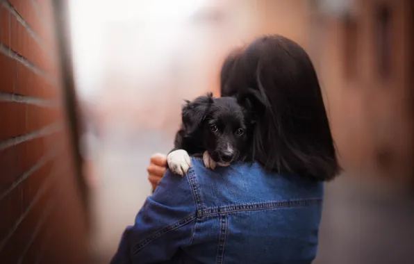 Picture girl, street, puppy