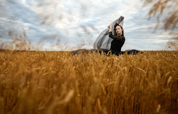 Picture wheat, the sky, girl, clouds, pose, woman, brunette, fabric, ears, black dress, cereals, wheat field, …