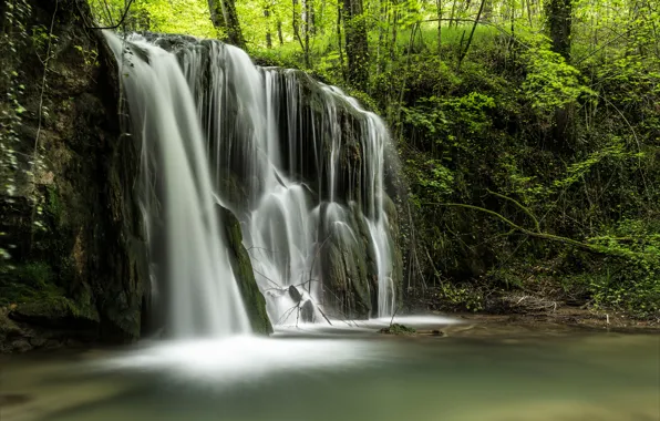 Picture forest, trees, squirt, stream, thickets, waterfall, river