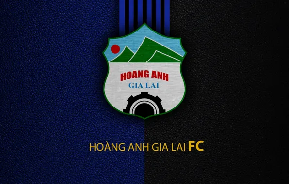 Picture wallpaper, sport, logo, football, Hoang Anh Gia Lai