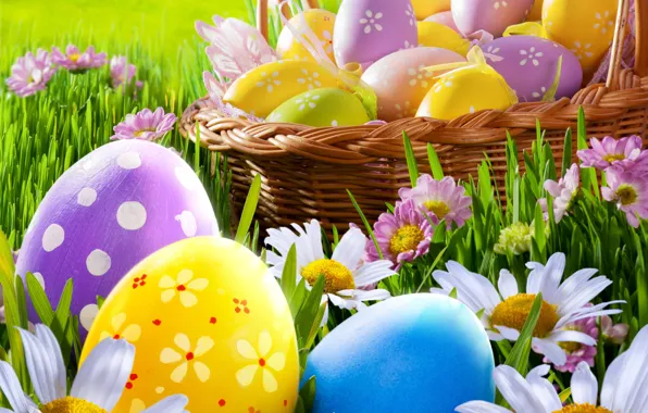 Picture grass, flowers, chamomile, eggs, spring, Easter, grass, sunshine, flowers, spring, eggs, easter, daisy, meadow, camomile