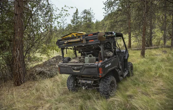 Picture Grass, Trees, ATV, Back, ATV, Can Am, Can Am Defender, Workhorse, Workhorse