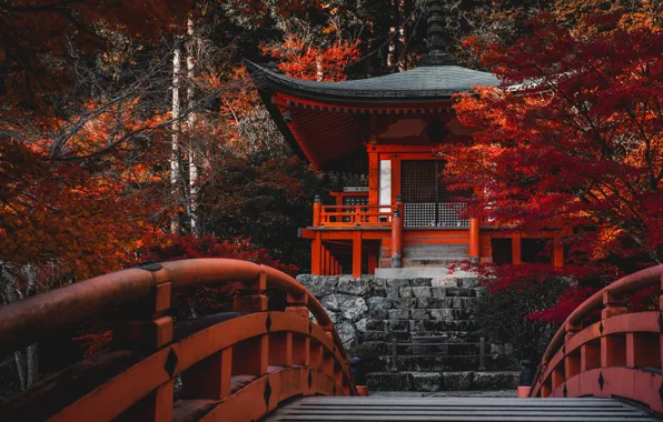 Picture autumn, light, trees, bridge, Park, thickets, shore, foliage, Japan, the fence, Asia, railings, temple, pagoda, …