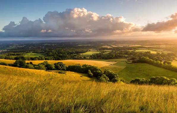 Picture the sky, grass, clouds, trees, landscape, nature, dawn, hills