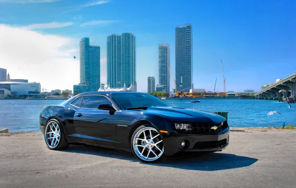 Picture sea, the sky, clouds, Chevrolet, black, chevrolet, promenade, skyscrapers, florida, camaro ss, miami, Camaro SS