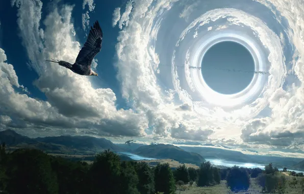 Picture the sky, birds, hole