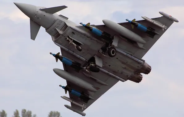Picture weapons, the plane, Typhoon