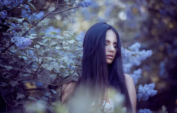 Picture portrait, lilac, bokeh, Dasha