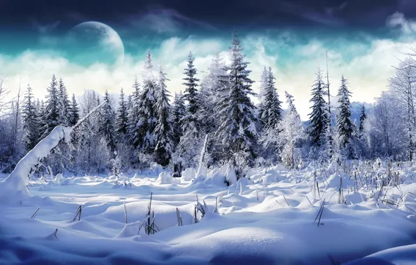 Picture winter, forest, clouds, snow, the moon