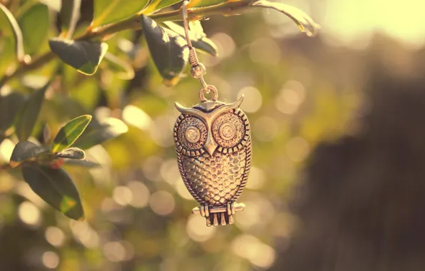 Picture leaves, macro, light, metal, owl, bird, branch