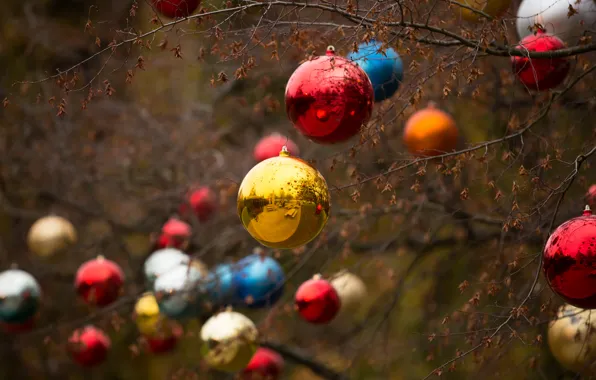 Picture tree, holiday, toys, new year, Christmas