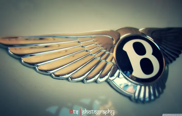 Picture car, logo, bentley, goodlife