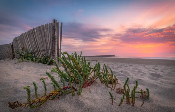 Picture sunset, shore, the fence