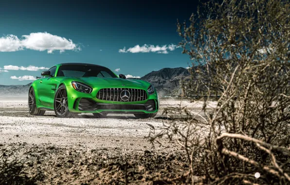 Picture the sky, nature, green, style, the bushes, the front, Mercedes GTR