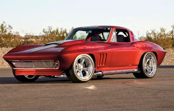 Picture road, road, Chevrolet Corvette, muscle car, shrub, sports coupe, bush, retro car, retro car, sports …