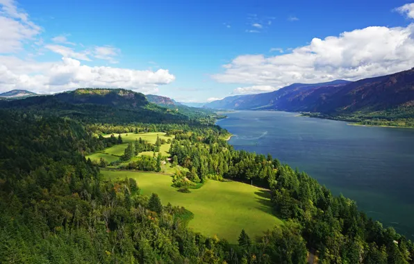 Picture greens, forest, the sky, the sun, clouds, trees, mountains, river