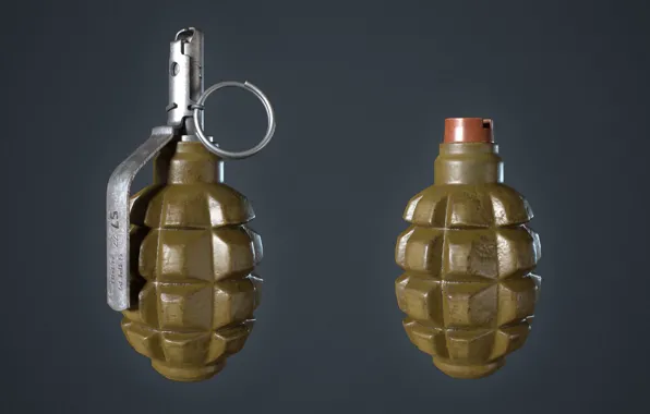 Picture USSR, Defensive grenade, F-1, Hand grenade